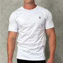 Kit 3 Camisetas Masculina - Polo Rаlрh Lаurеn